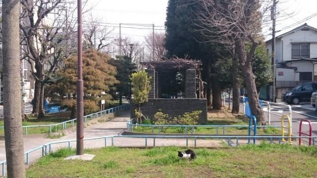 公園