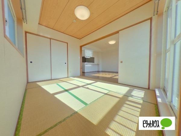 プラチド（602） 部屋画像