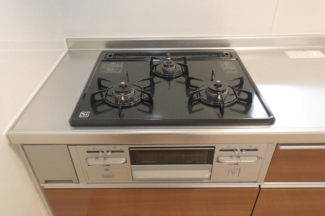 ﾛｲｼﾞｪﾝﾄﾊﾟｰｸｽ ﾚｲｸﾀｳﾝ Ⅱ　Ｌ（208） 部屋画像