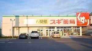 スギ薬局野田下町店：571m