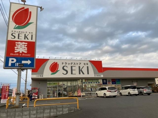 ドラッグストアセキ吉川美南店：517m