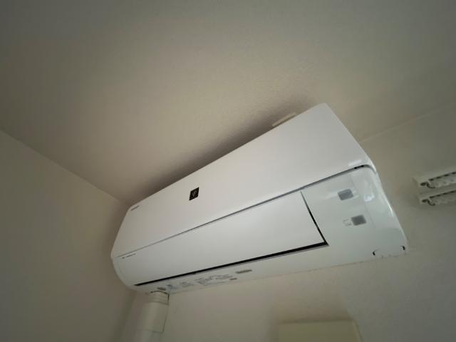 パイン・ツリー 部屋画像