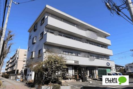 ブライトシャイン（401） 外観