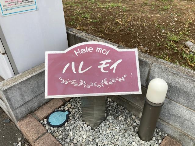 ハレモイ（101） その他