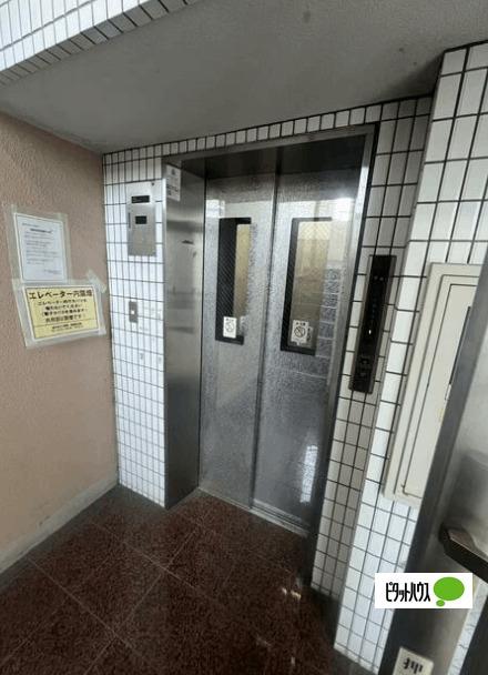 ブランシュネージュ（701） その他