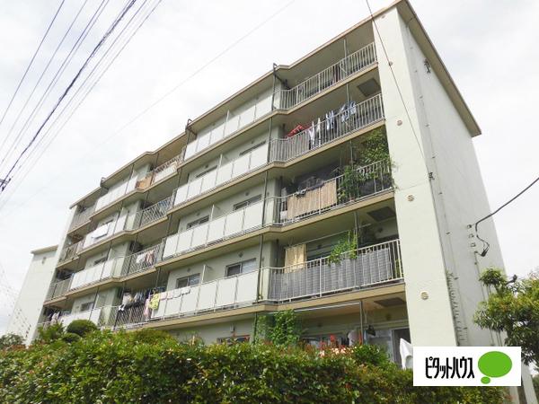 松原ロジュマンA棟 外観
