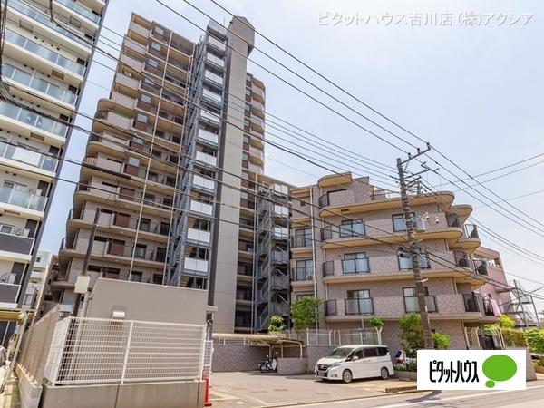 ライオンズプラザ三郷 物件画像