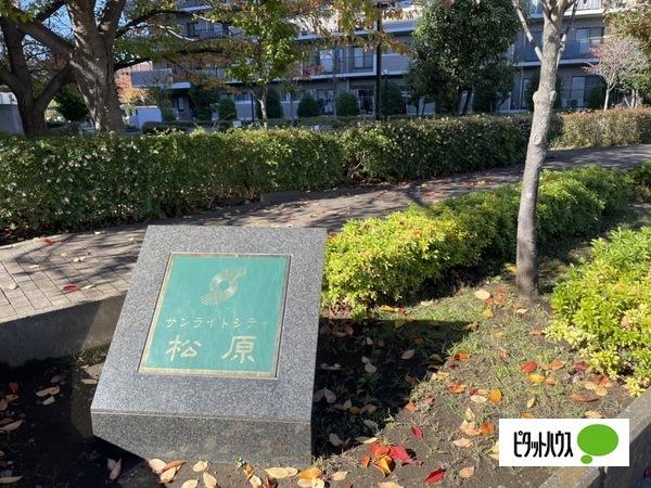 サンライトシティ松原弐番館 共有部分