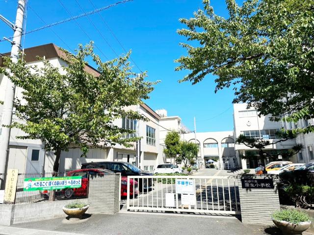 小学校