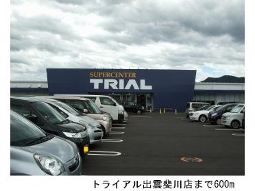 トライアル出雲斐川店：600m