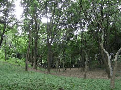 根戸船戸緑地：1293m