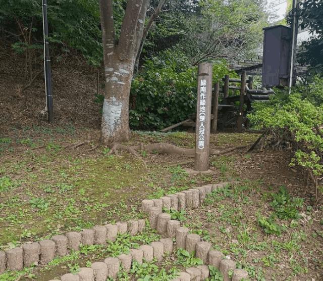 緑南作緑地：990m