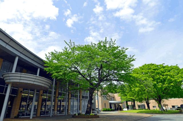 私立開智国際大学：2822m