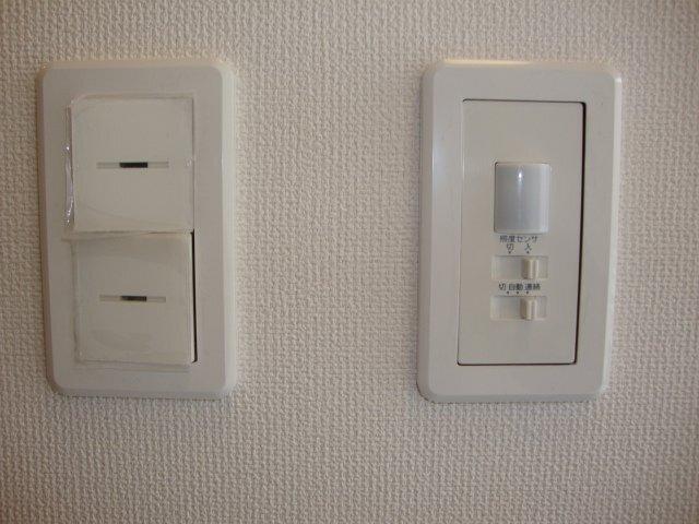 Ｆｅｌｉｃｉａ　ａｍｅｌｌｏｉｄｅｓ 部屋画像