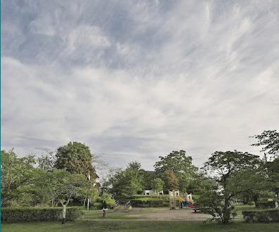 さくらの杜公園：3157m