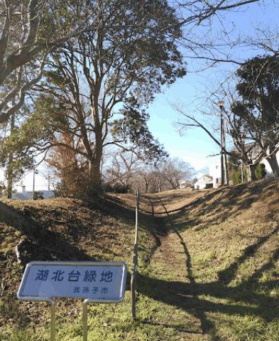 湖北台緑地