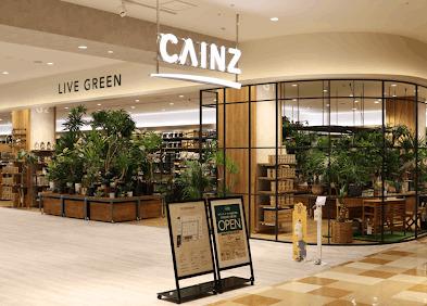 カインズセブンパークアリオ柏店：2330m