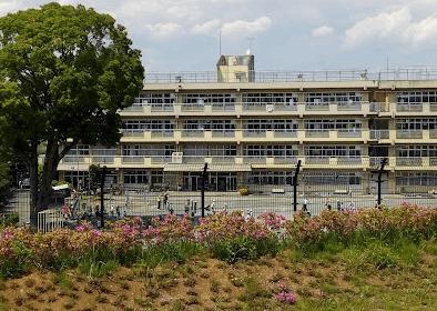 印西市立木下小学校：413m