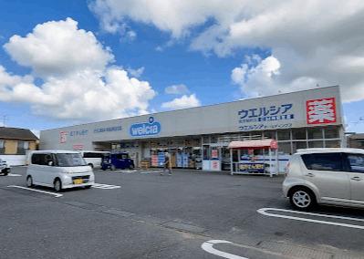 ウエルシア取手新町店：206m