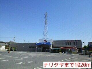 ナリタヤ：950m