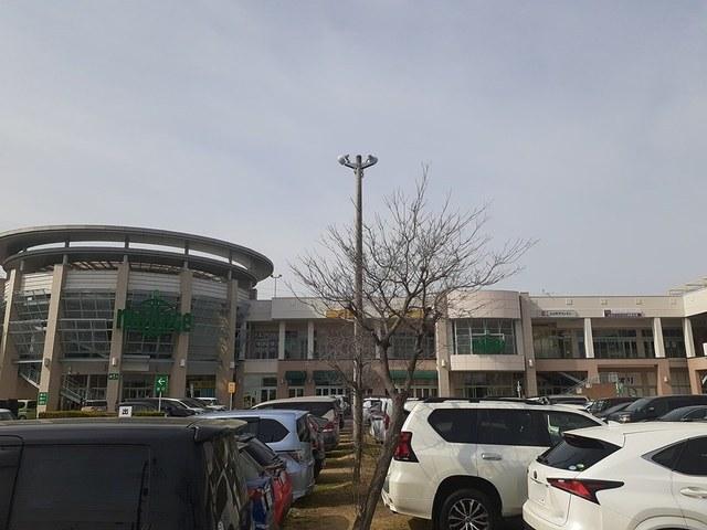 モラージュ：958m