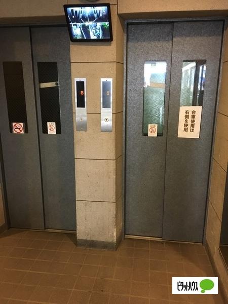 シャトレ明大前 物件画像