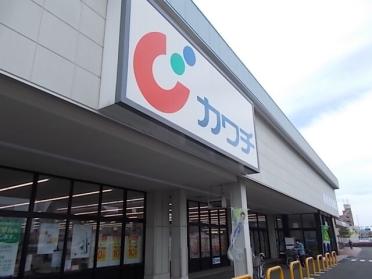 カワチ薬品浜田店：1500m