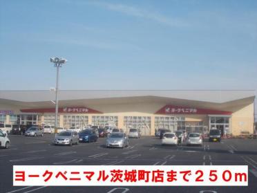 ヨークベニマル茨城町店：250m