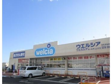 ウエルシアひたちなか馬渡店：400m