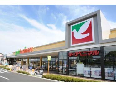 ヨークベニマル水戸浜田店：300m