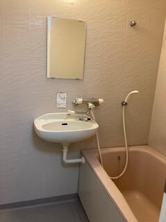 ライオンズシティ水戸 洗面