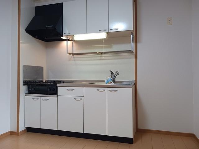 ＧｒｅｅｎＶｉｌｌａ　Ｃ（103） キッチン