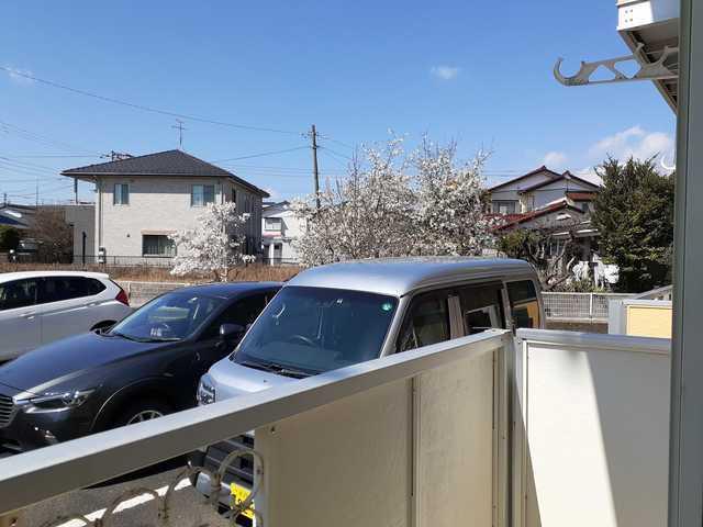 セントラルシティⅡ（101） バルコニー