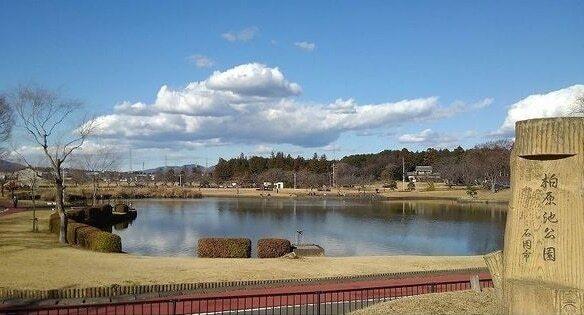 柏原池公園：1200m