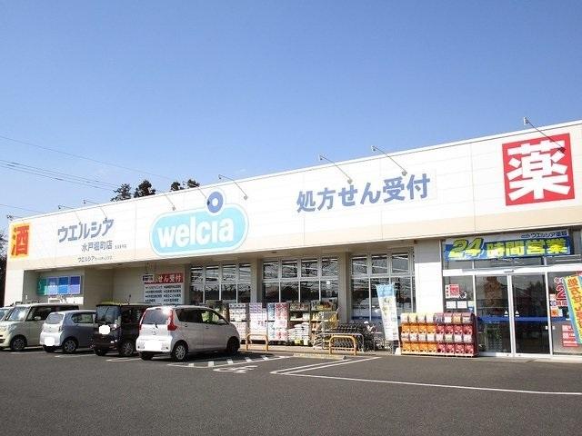 ウエルシア　堀町店：650m