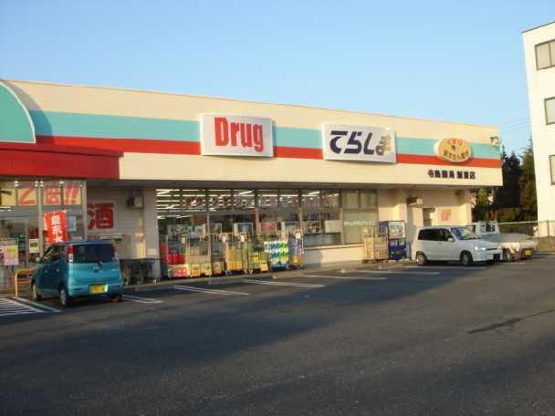 ドラッグてらしま水戸新原店：2106m