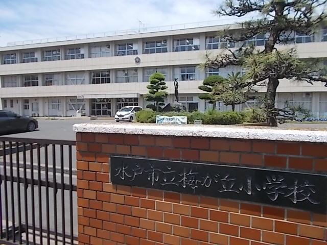 梅が丘小学校：700m