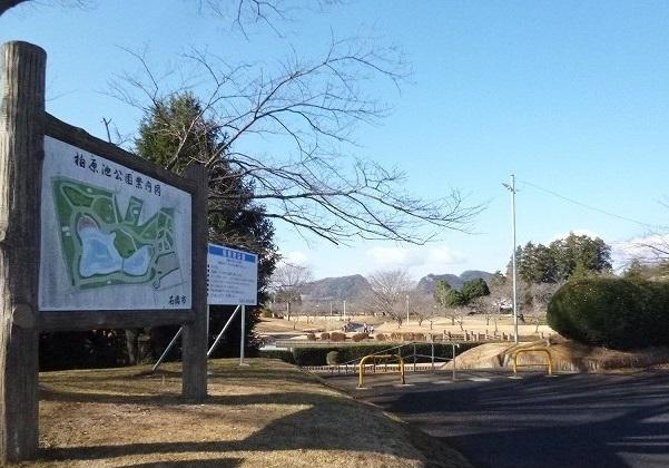 柏原池公園：1900m