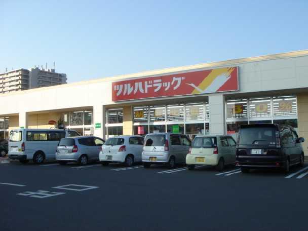 ツルハドラッグ水戸赤塚店：712m