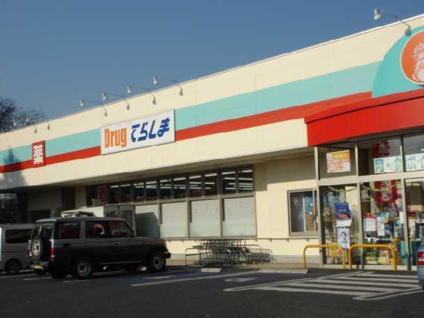 ドラッグてらしま水戸千波店：725m