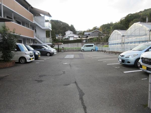 プロムナード万々（303） 駐車場