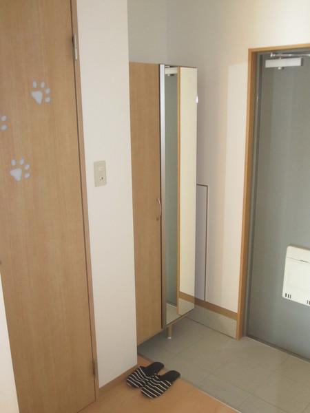 ドリームハウスしののめ（311） 玄関