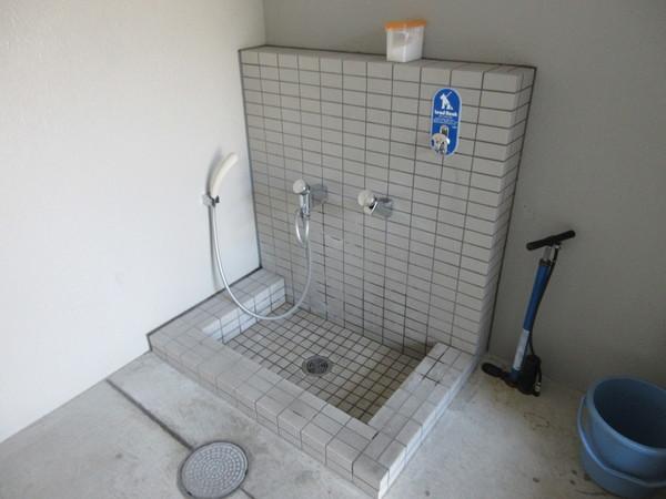アルファステイツ愛宕山（1001） 共有部分