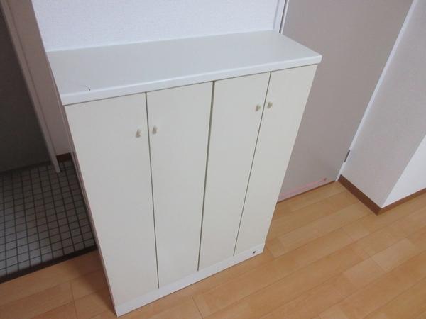 メゾン内藤（101） 玄関