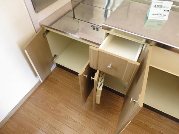メゾンドール宮地Ⅱ　A棟（A102） キッチン