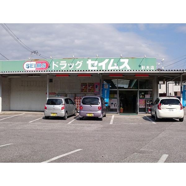 ドラッグセイムス針木店：795m