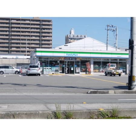 ファミリーメゾン白岩 周辺環境写真1 ファミリーマート高知仲田町店：598m