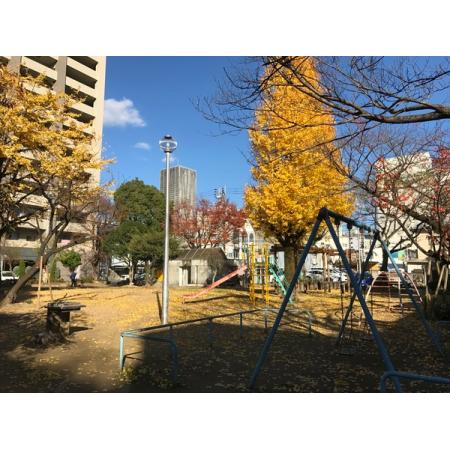 クレスト廿代 周辺環境写真6 城東公園：160m