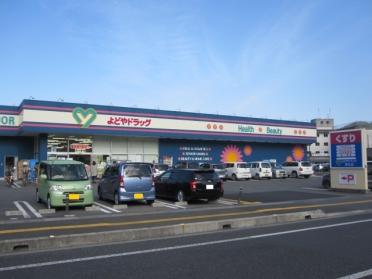 よどやドラッグ高知神田店：876m