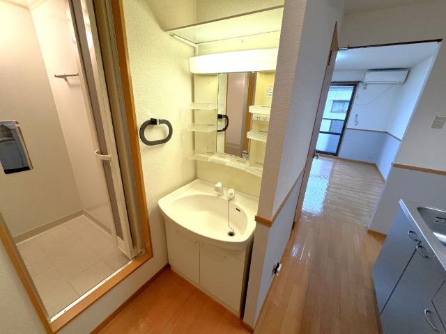 ＩＶＹ　ＣＯＵＲＴ　A棟（A202） 洗面